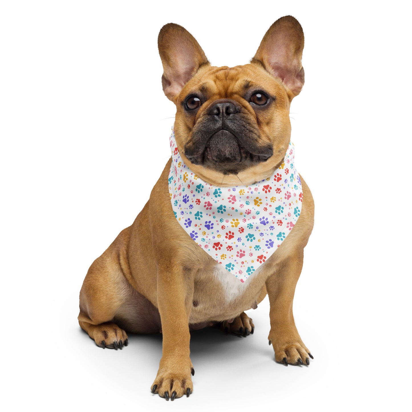 Rainbow Paws All-over print bandana