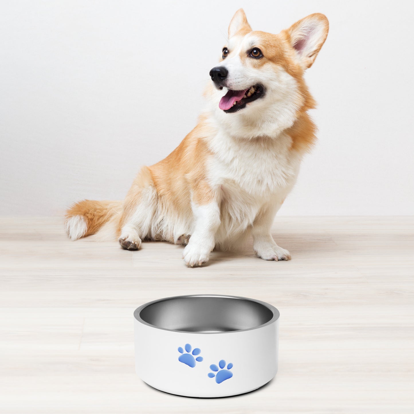 Blue Paws Pet bowl