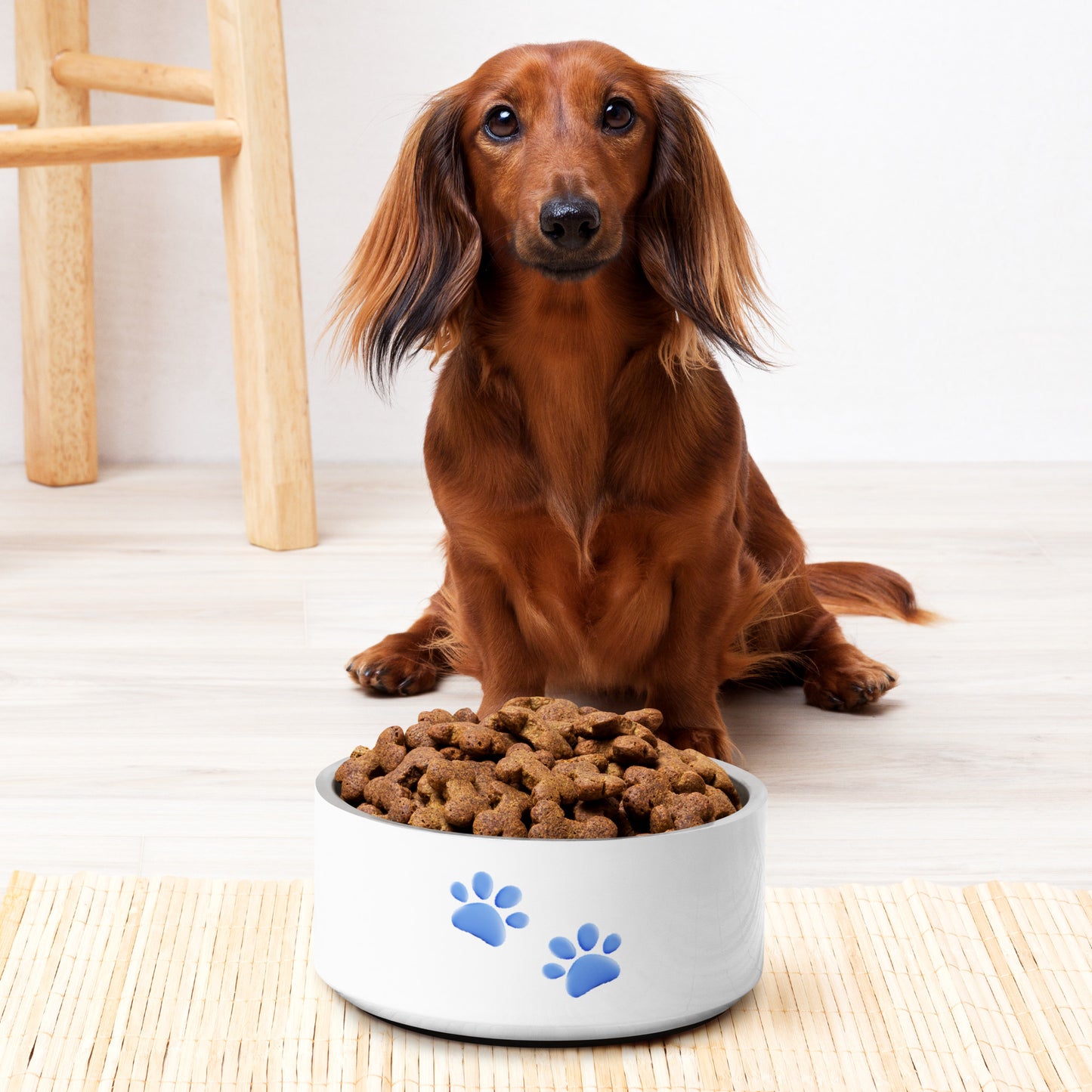 Blue Paws Pet bowl
