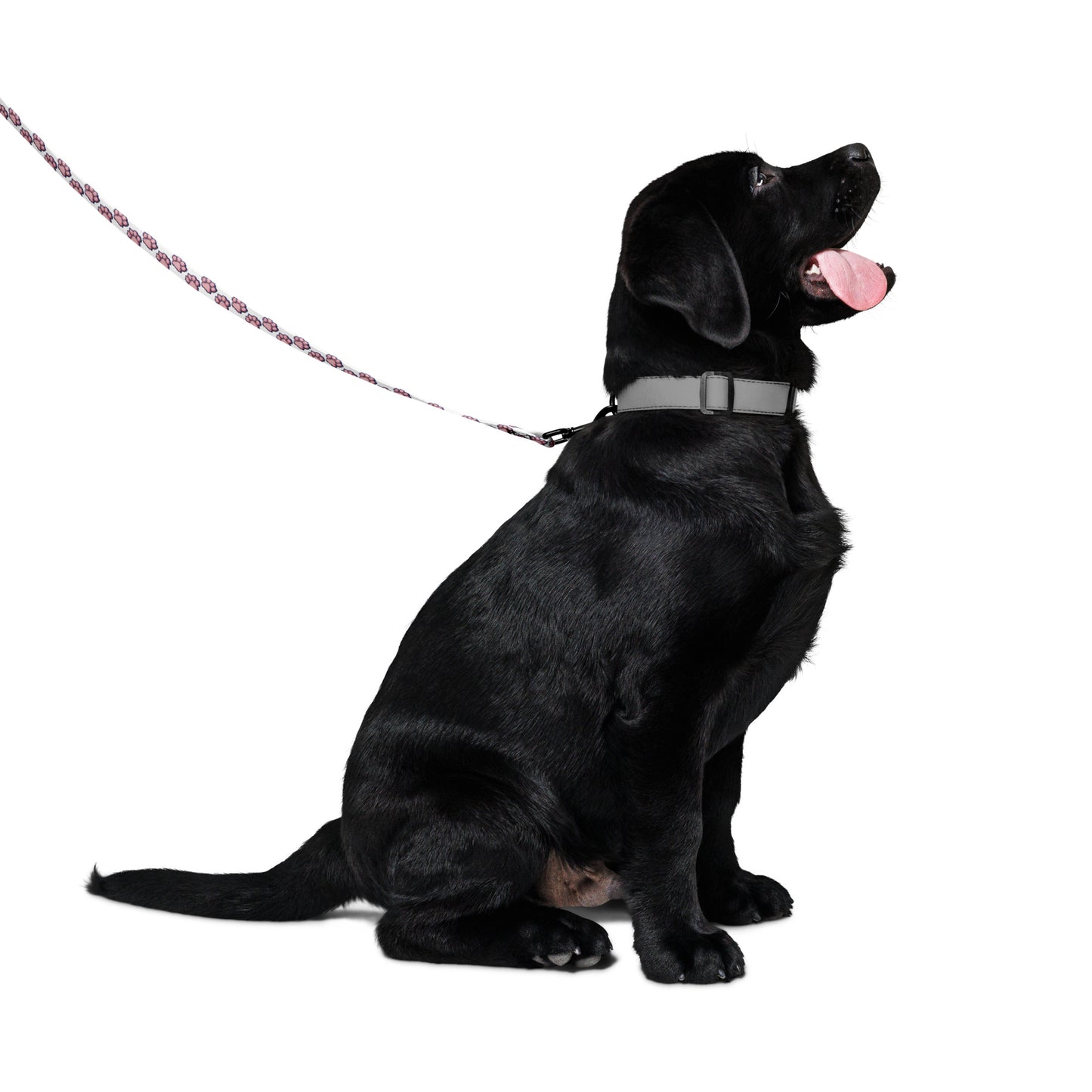 Pink Paws Pet leash