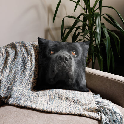 Golden Black Lab Premium Pillow