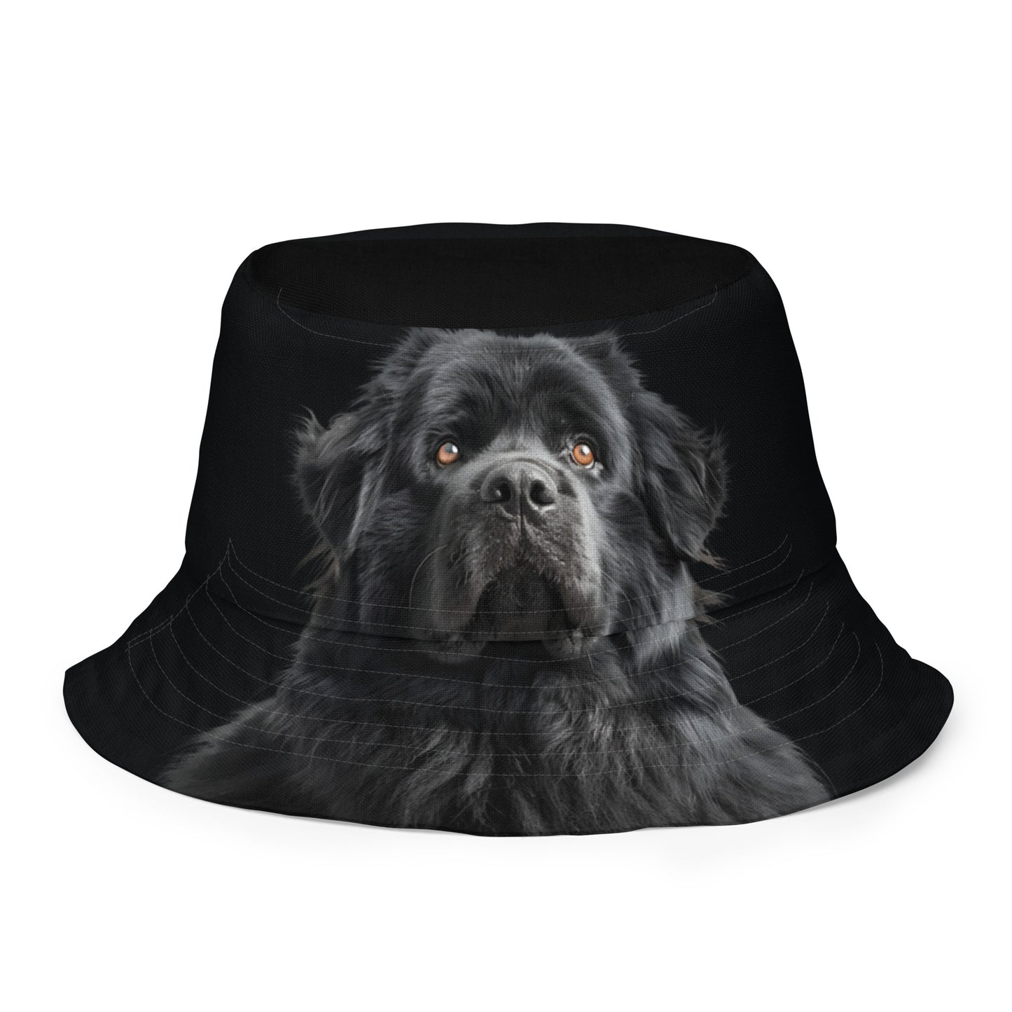 Golden Black Lab x Our Goldie Companion Reversible bucket hat