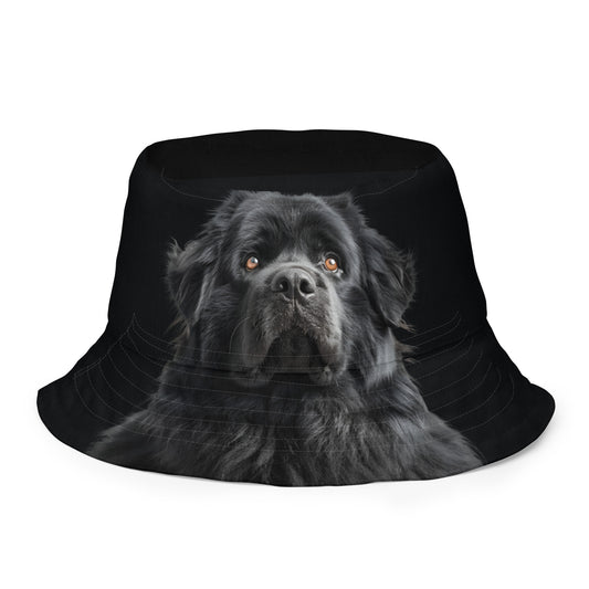 Golden Black Lab x Our Goldie Companion Reversible bucket hat