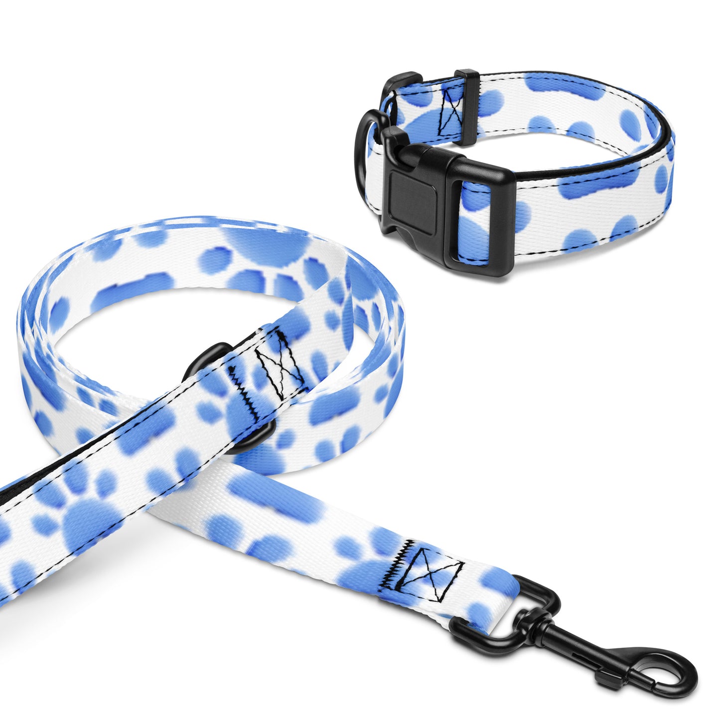 Pet collar & leash