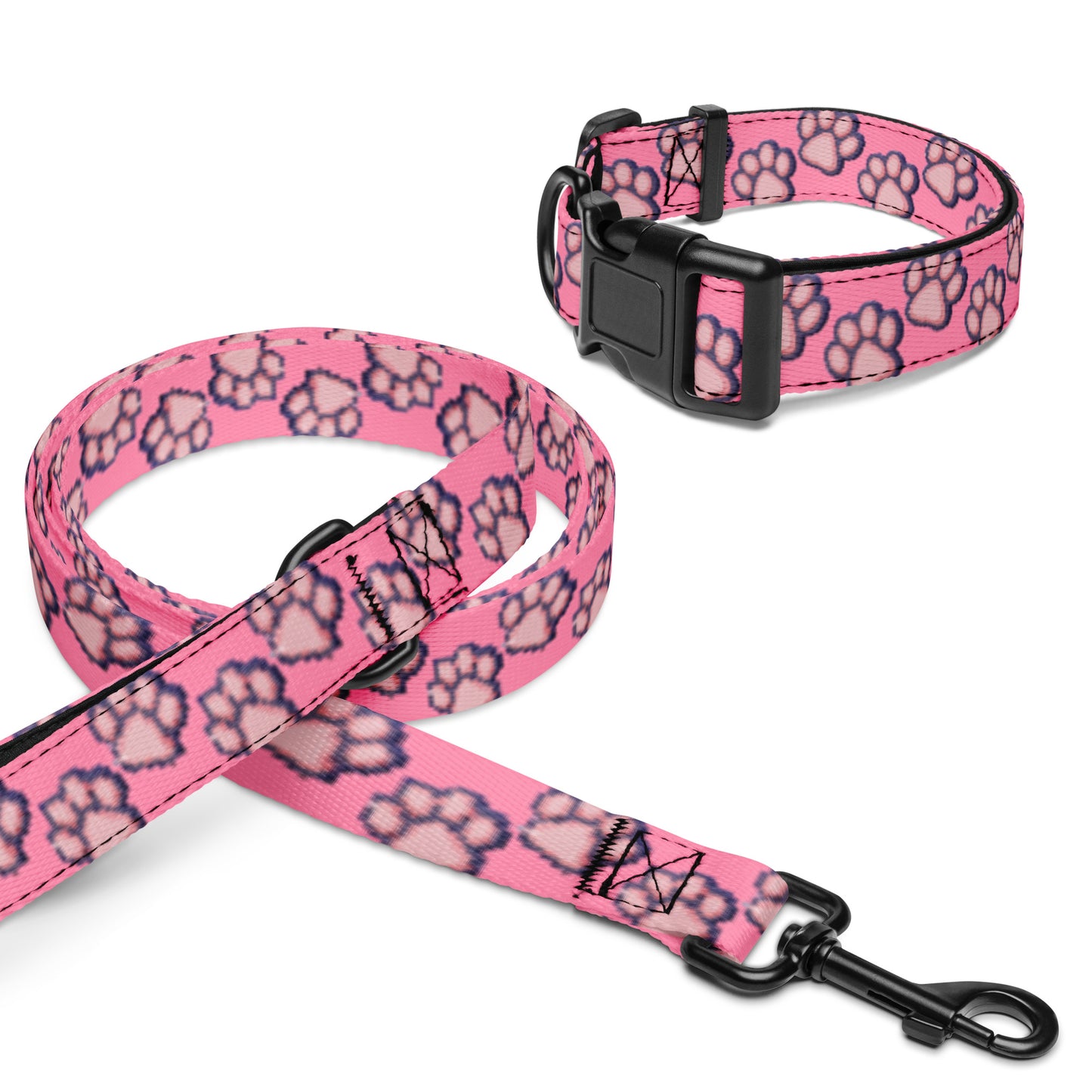 Pet collar & leash