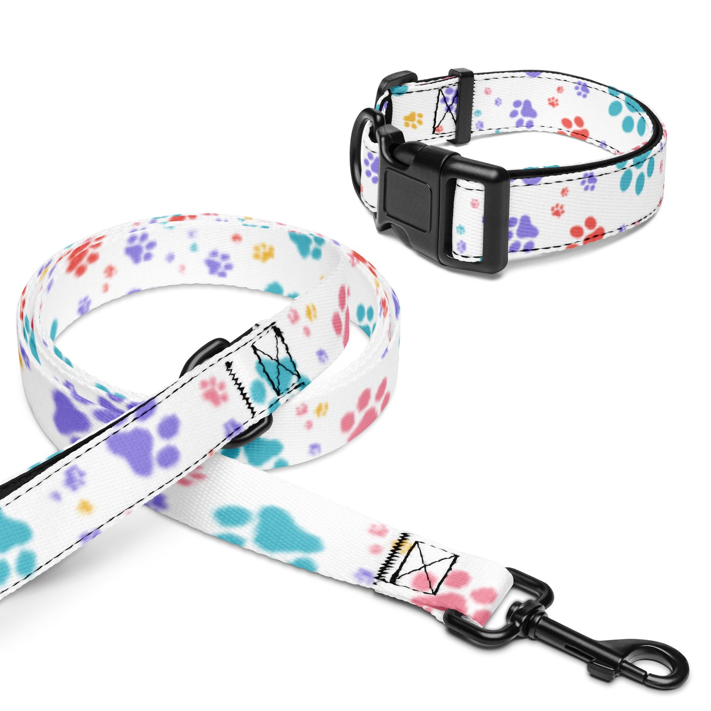 Pet collar & leash