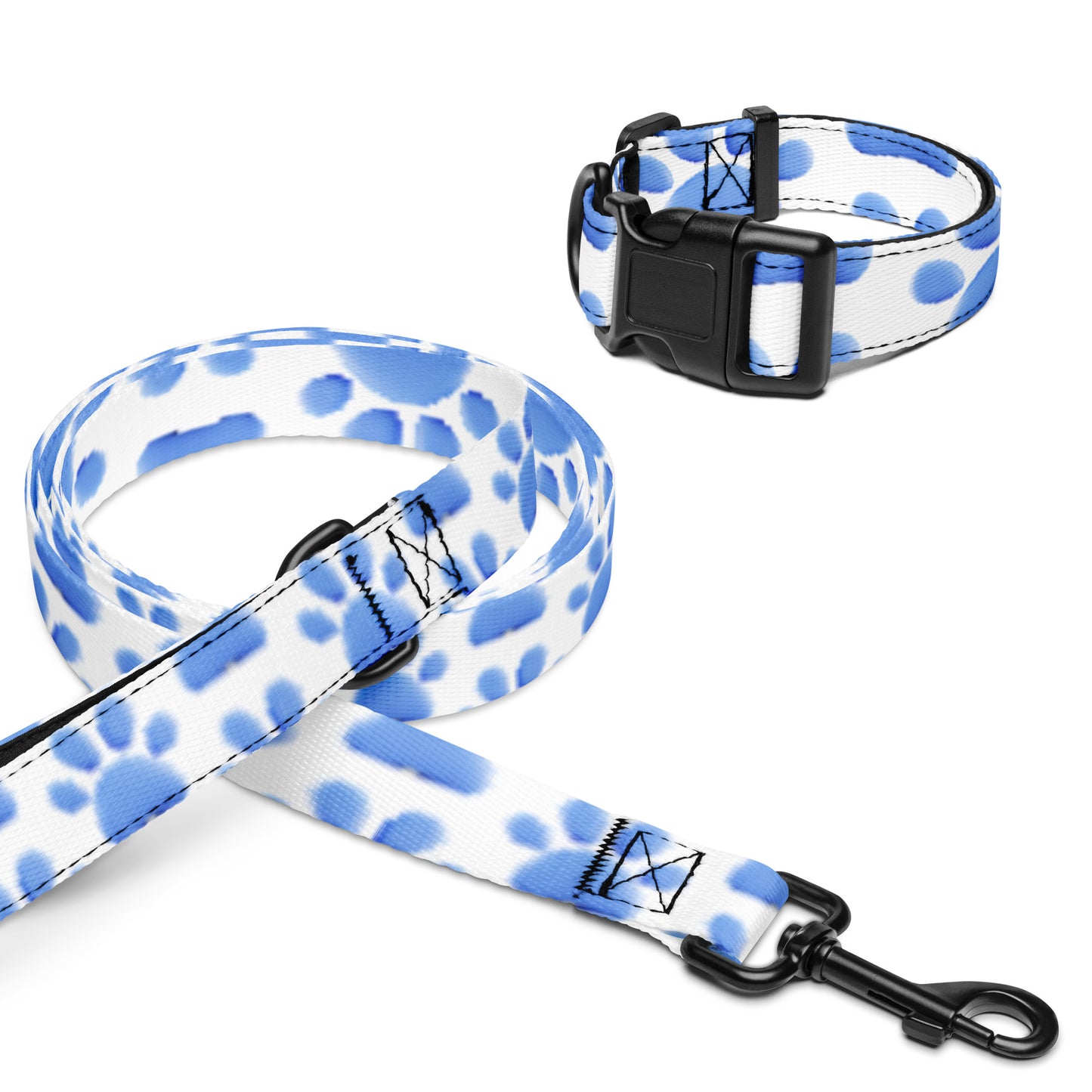 Pet collar & leash