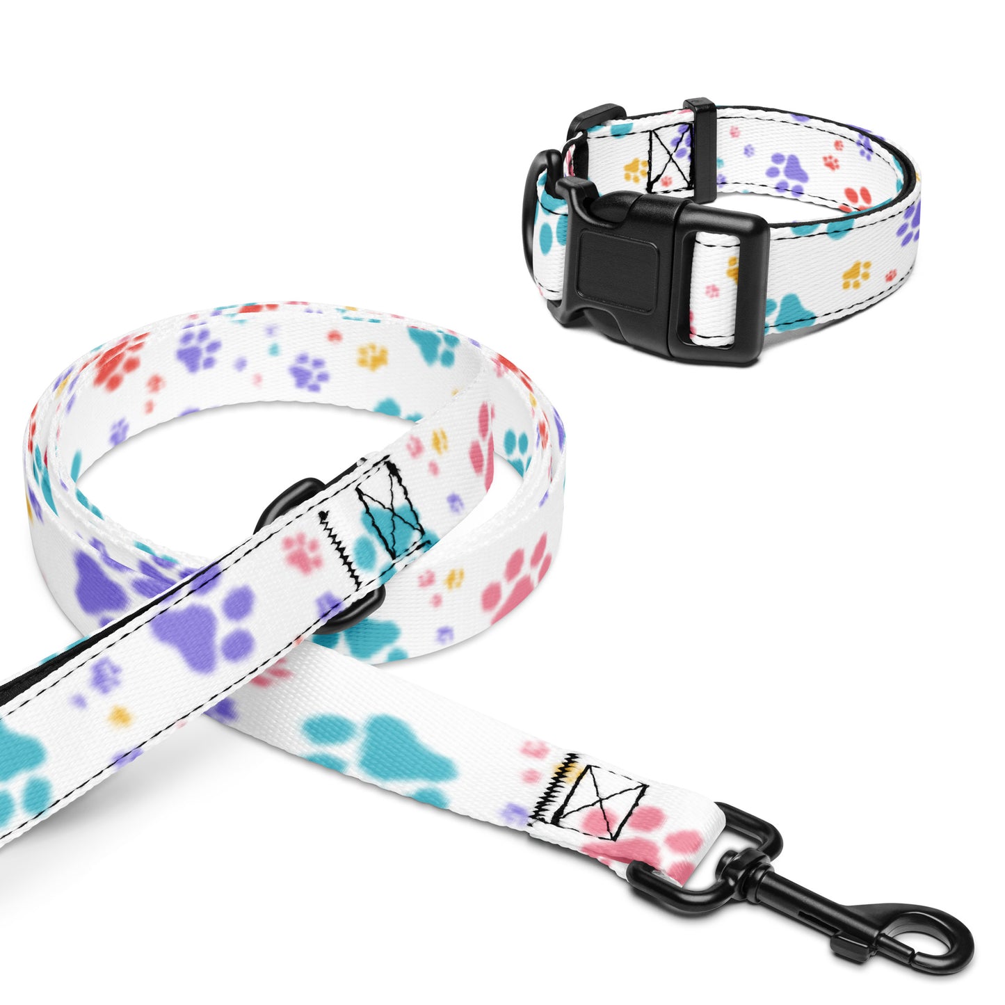 Pet collar & leash