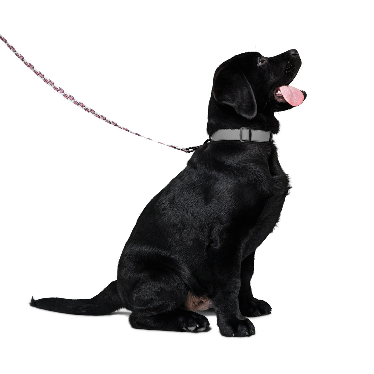 Pink Paws Pet leash